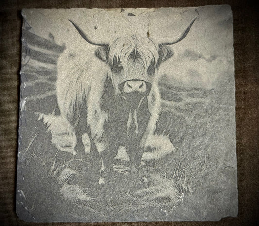 Highland Cow Slate Coaster